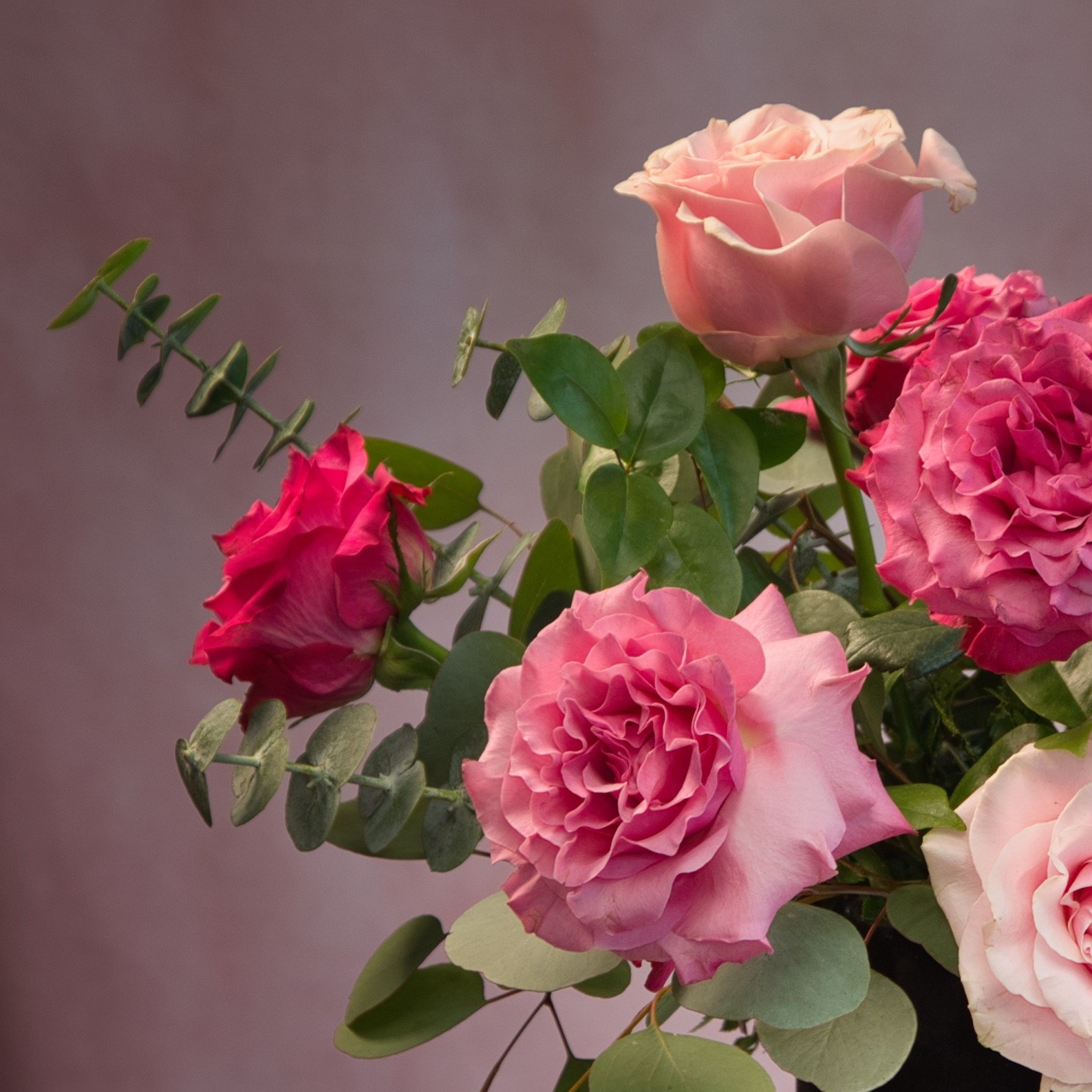 Wild Love - Pink Hat Box - Image 2