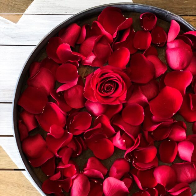 Rose Petals