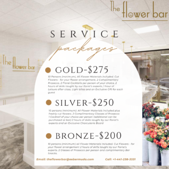 Bronze Service Package