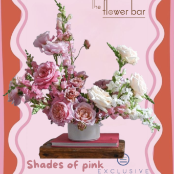 Shades of Pink Workshop
